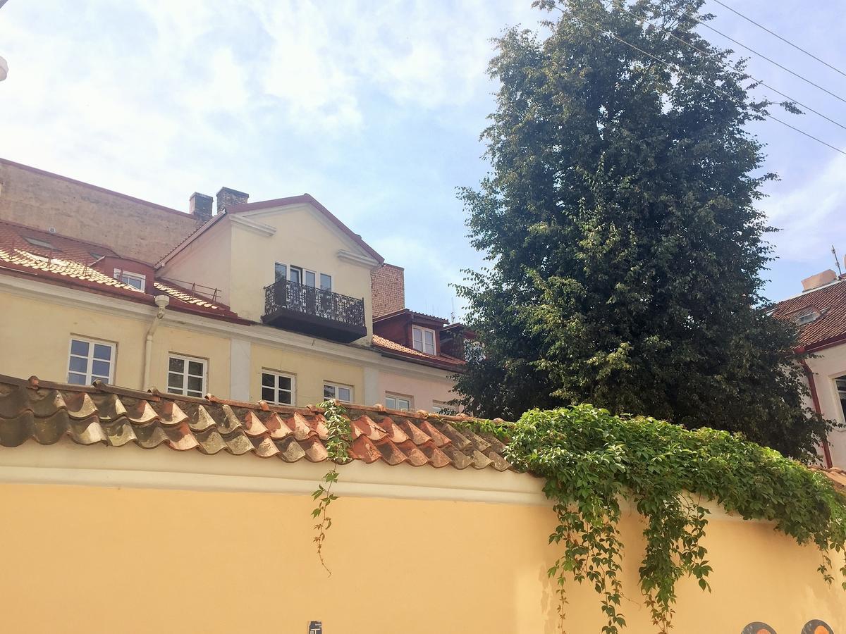 Grand Duke Apartments VNO Dış mekan fotoğraf